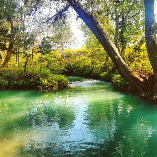 a river with green water and a bridge over it at Cabañas Mannan in Tanchachín