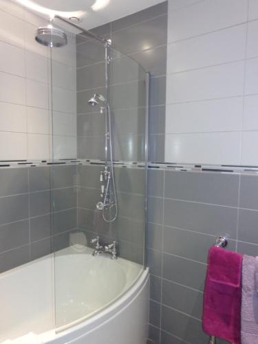a bathroom with a tub and a glass shower at La Maison Ribotteau in LʼIsle-Jourdain