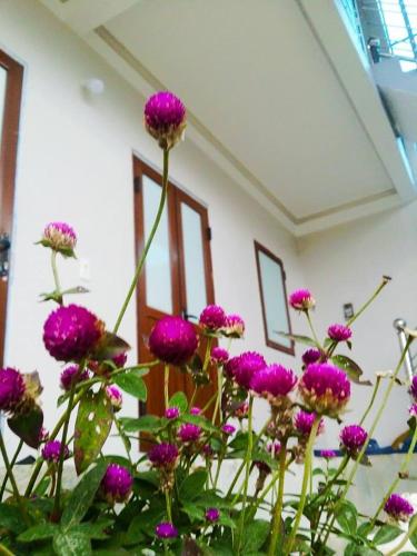a bunch of purple flowers in a room at Homestay Moc Chau in Mộc Châu