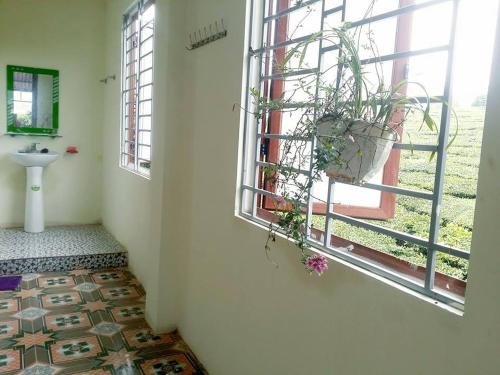 a bathroom with a sink and a window with a potted plant at Homestay Moc Chau in Mộc Châu