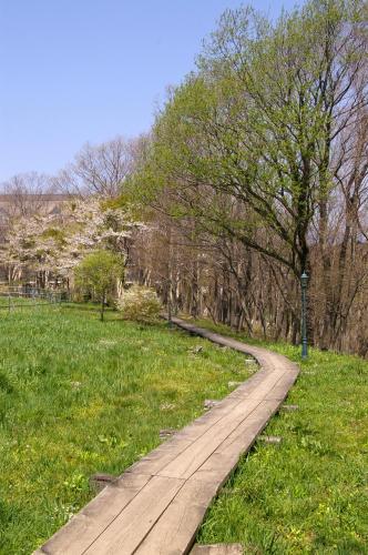 a wooden path in a park with trees and grass at Hotel Floracion Nasu in Nasu
