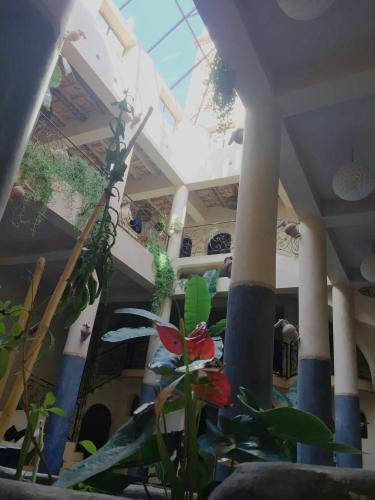 a plant in the middle of a building with columns at Kasbah Titrit & Spa in Aït Ben Haddou