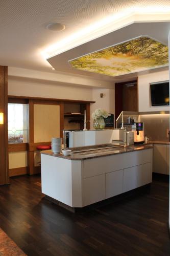 a kitchen with a ceiling with a painting on the ceiling at Hotel Krone in Pforzheim