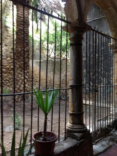 a plant in a pot next to a fence at Palazzo Aprile in Caltagirone