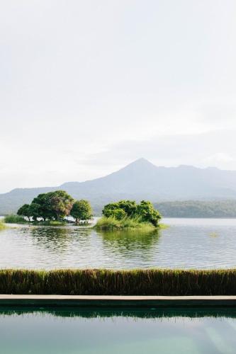 ホテルの近くで見られる自然の景観