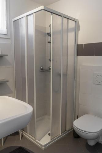 a shower in a bathroom with a toilet and a sink at La Sciora Oliva in Chiavenna