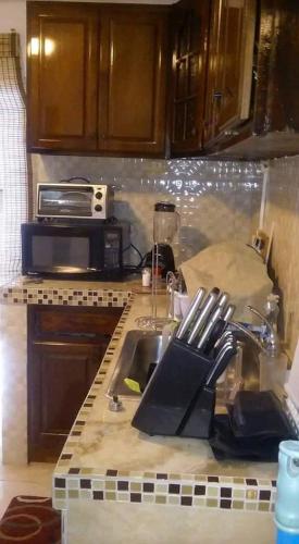 a kitchen counter with a sink and a microwave at Robby's Place in Harbour View