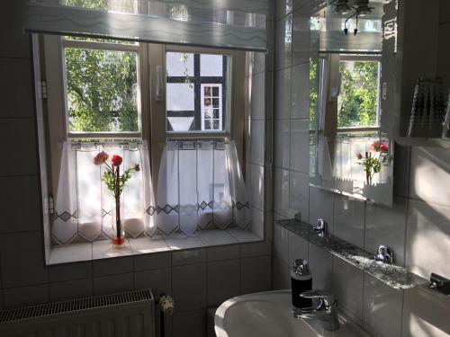 a bathroom with a sink and two windows with flowers at Haus Heinrich Heine in Ilsenburg