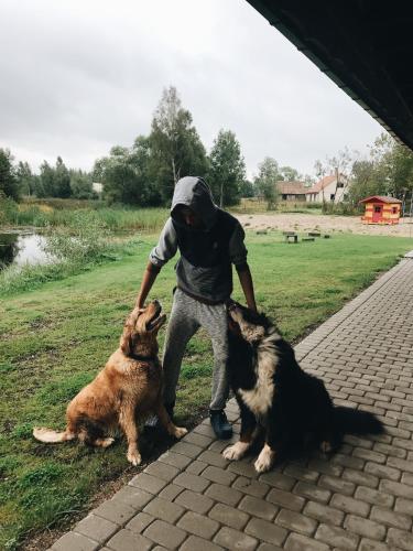 a man is petting two dogs in a park at Annes in Pāce