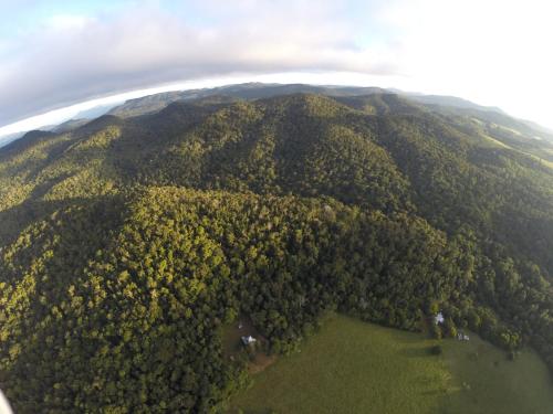 an aerial view of a forested mountain at The Jungle Stays in Millaa Millaa