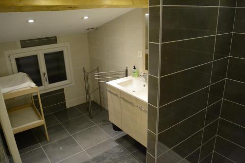 een badkamer met een wastafel en een spiegel bij Gite les pins in Montchenu