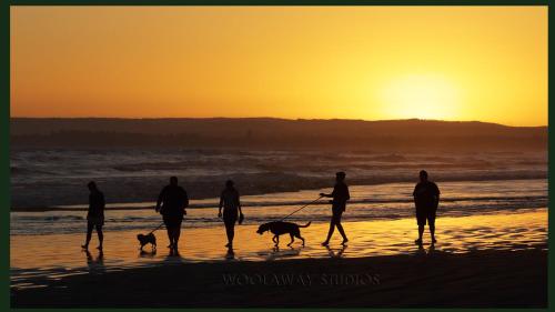 a group of people walking their dogs on the beach at Gumnut Getaway BnB in Goolwa North