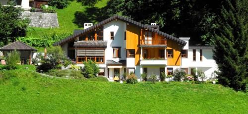 a house on a hill with green grass at Apparthaus Vonbank in Schruns-Tschagguns
