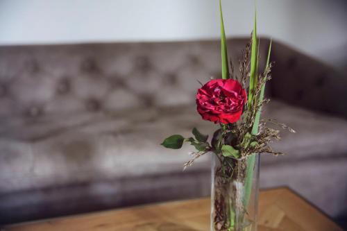 eine rote Rose in einer Vase auf einem Tisch in der Unterkunft Romantik Hotel Schloss Reichenow in Reichenow