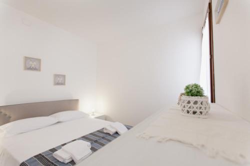 two beds in a white room with a potted plant at Ca Riolfo, appartamento a due passi da Rialto in Venice