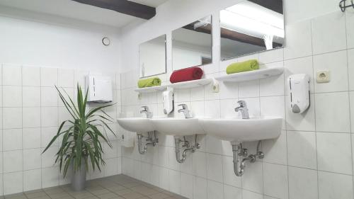 ein Badezimmer mit zwei Waschbecken und einer Topfpflanze in der Unterkunft Radlerhof Spreewald in Kolkwitz