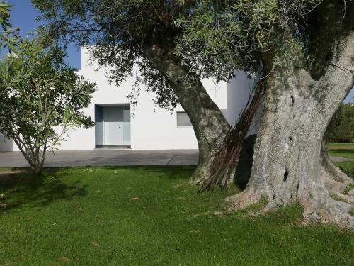 two trees in the grass in front of a white building at Casa do Vale da Terra Negra in Vila Nova da Baronia