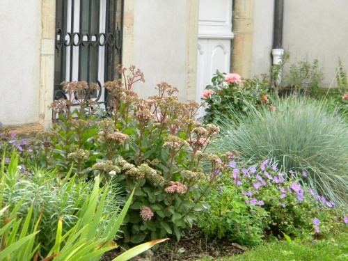 a garden of flowers in front of a building at Le jardin des chanceliers in Beaune