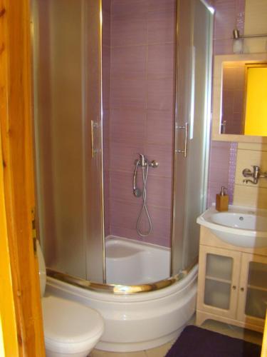 a bathroom with a shower and a toilet and a sink at Dom Pod Gruszką in Pobierowo