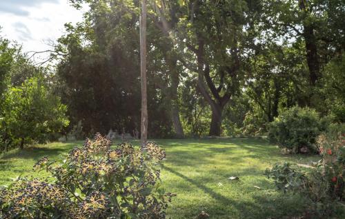 a field with trees and a pole in the grass at B&B Cantico Delle Creature in Assisi