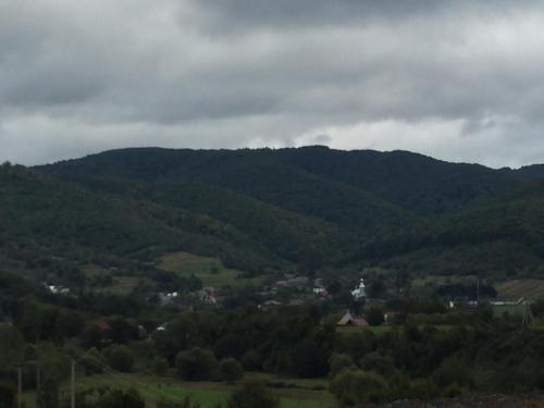 a view of a valley with green mountains at Polyana Apart in Polyana