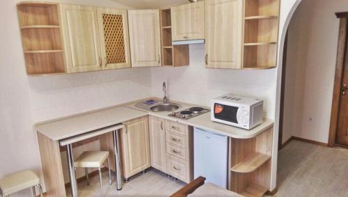 a small kitchen with a sink and a microwave at Polyana Apart in Polyana