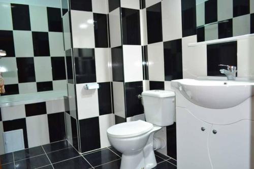 a bathroom with a toilet and a sink at Pensiunea Georgia in Lunguleţu