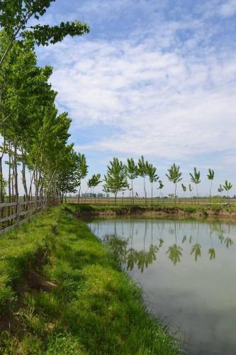 a body of water with trees and a fence at Pensiunea Georgia in Lunguleţu