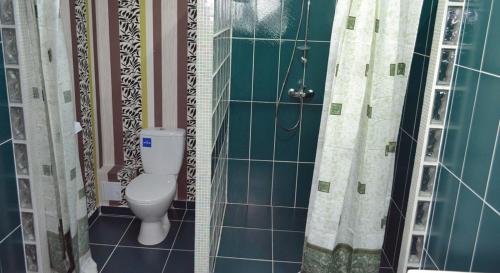 a bathroom with a toilet and a shower at Pensiunea Georgia in Lunguleţu