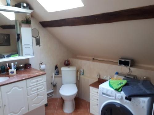 a bathroom with a toilet and a washing machine at La CRAPOUNETTE in Pierry