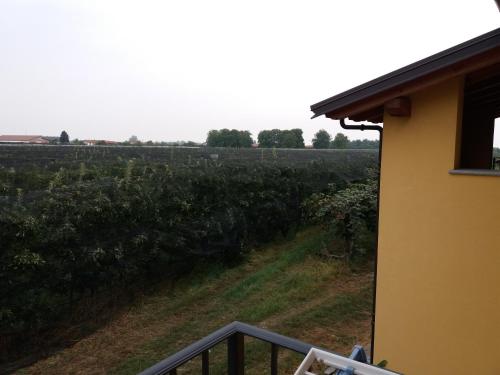 a view of a field from the balcony of a house at Agriturismo Fior Di Campo in Dronero