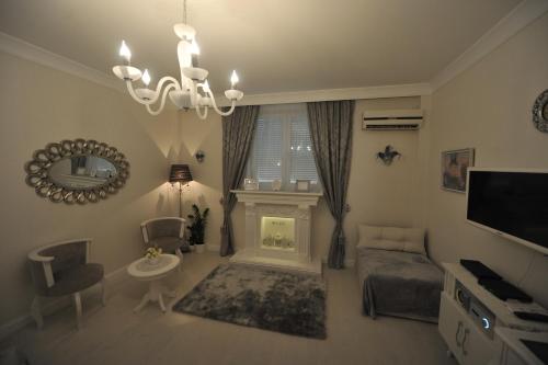 een woonkamer met een open haard en een televisie bij Margot Luxury Studio in Belgrado