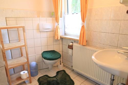 a bathroom with a green toilet and a sink at Apartments Rügen Patzig in Patzig