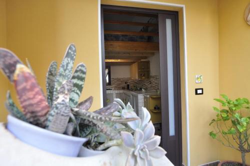a potted plant sitting on a table in a room at Case Vacanze Agrumi in Portopalo