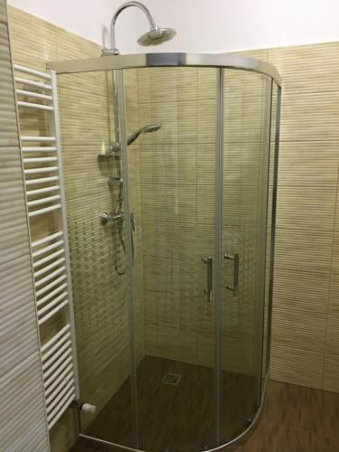 a shower with a glass door in a bathroom at Kristály apartmanok in Kisvárda