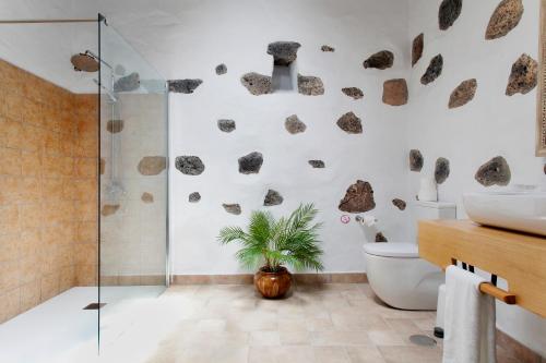 ティアスにあるCaserío Leandro IIのバスルーム(シャワー、植物付)