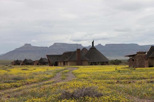 a row of houses in a field of flowers at Hoodia Desert Lodge in Sesriem