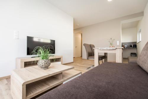 a living room with a couch and a tv at Naturgut in Apetlon