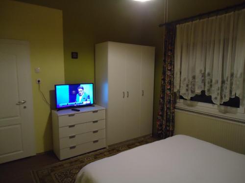 Dormitorio con cama y tocador con TV en Apartments Villa Svetlana, en Vrnjačka Banja