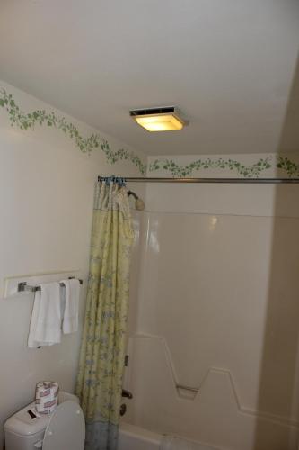 a bathroom with a shower curtain and a toilet at Flagship Motorcourt in Hampton
