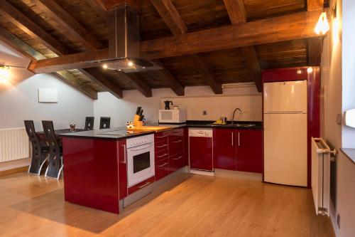 Kuchyň nebo kuchyňský kout v ubytování Aiestaenea Apartamentos Rurales
