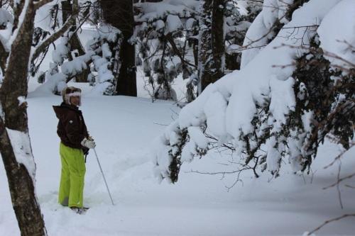 a person on skis in the snow next to trees at Shukubo Kansho-in Temple Sanrakuso in Daisen