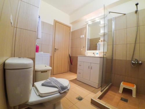 Un baño con ducha, inodoro y lavabo. en Rubini Homes, en Agia Marina de Nea Kydonia