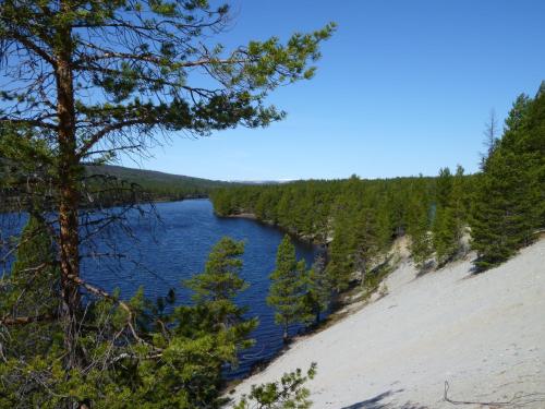 a view of a river from a hill with trees at Unicare Røros in Røros