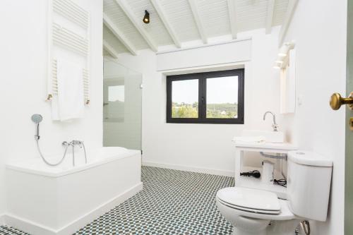 a white bathroom with a toilet and a tub and a sink at Quinta do Gato, Douro Valley, Armamar in Armamar