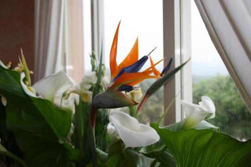 a vase of flowers sitting in front of a window at Hotel Le Dune in Porto Pollo