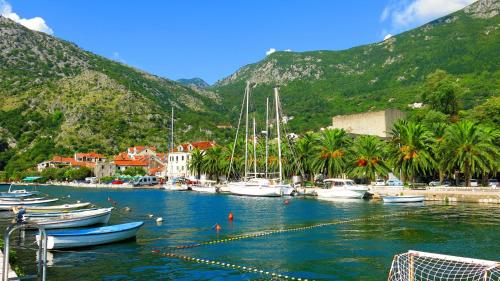 Příroda nedaleko apartmánu