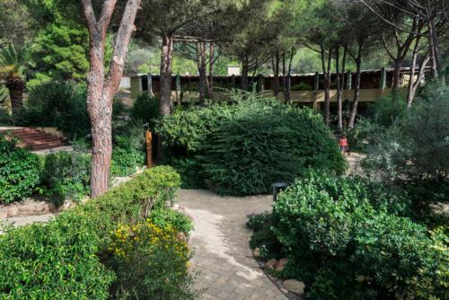 a garden with bushes and trees and a walkway at Abbaechelu in Santa Margherita di Pula