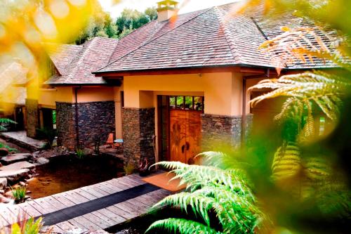 Κήπος έξω από το Treetops Lodge & Estate