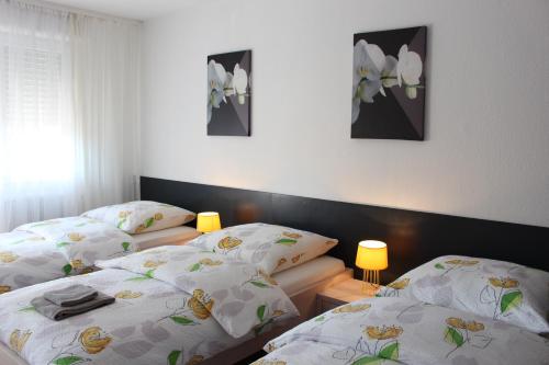 Studios near Basel Airport – Photos 4